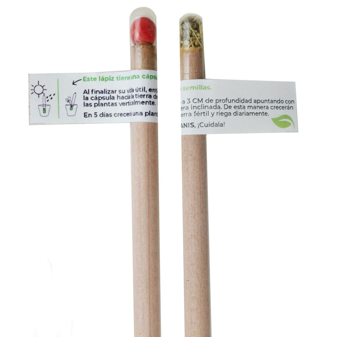 Lápiz con Semillas (Cápsula)