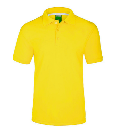 POLO 900C PLAYERYTEES