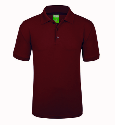 POLO 900C PLAYERYTEES