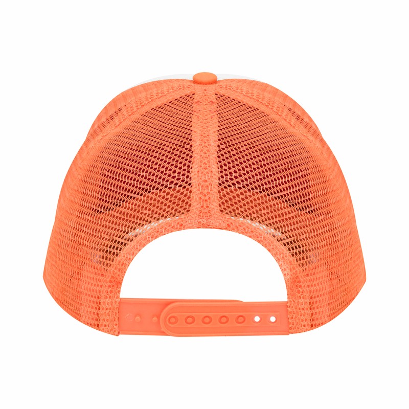 CAP 004