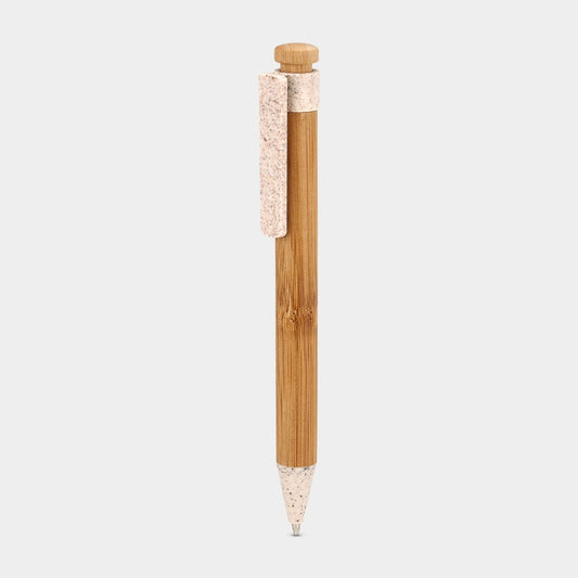 ECO 065