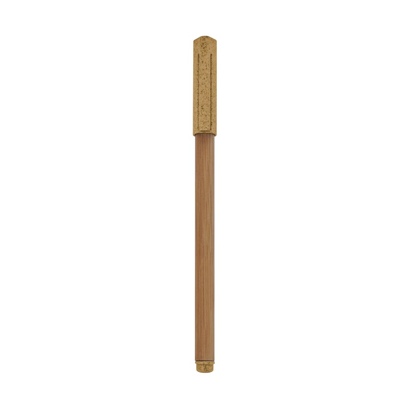 ECO 070