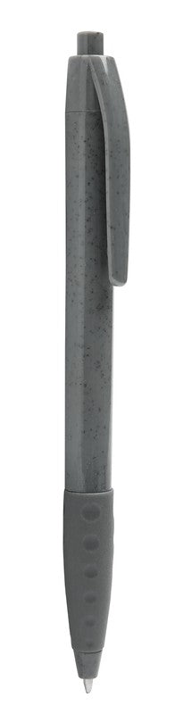 ECO 100