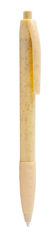 ECO 100