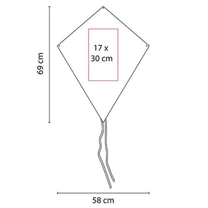 GM 005