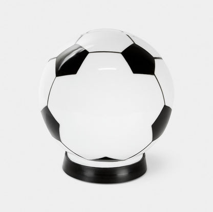 INF 070-01-