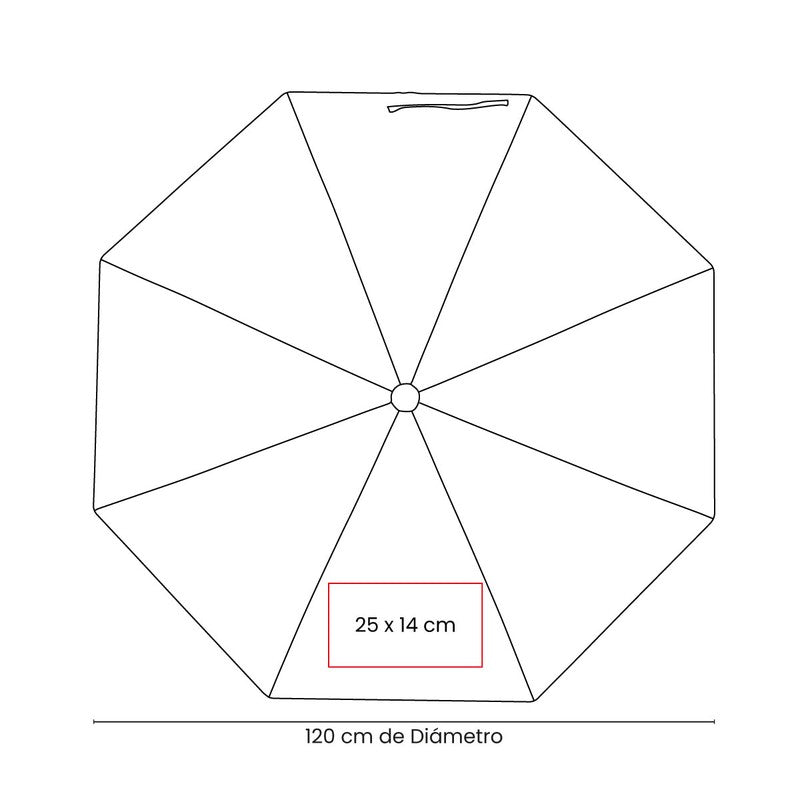 vector