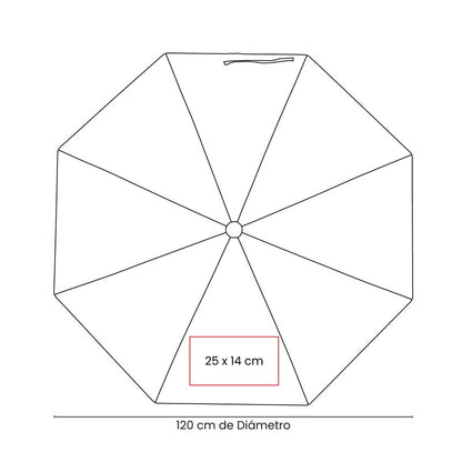 vector
