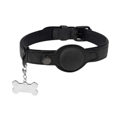 PET 011