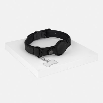 PET 011