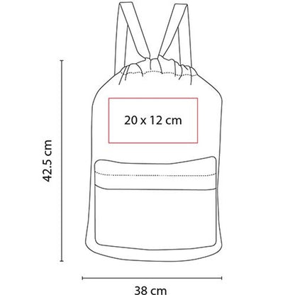 SIN 301