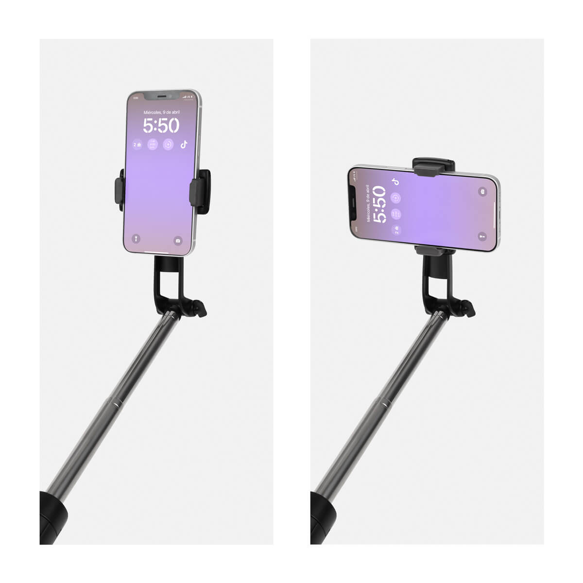 SLF 006
