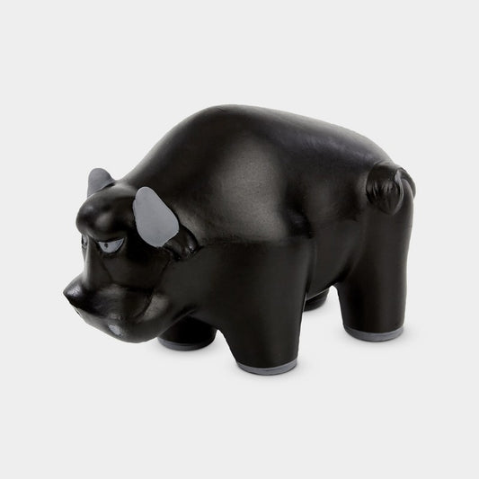 SOC 213