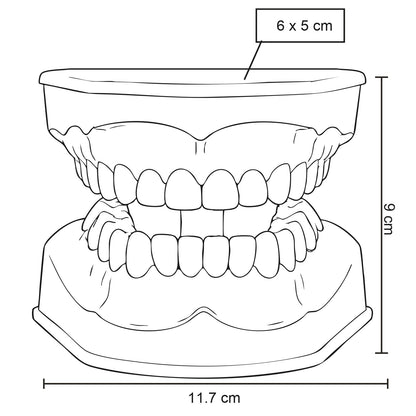 vector