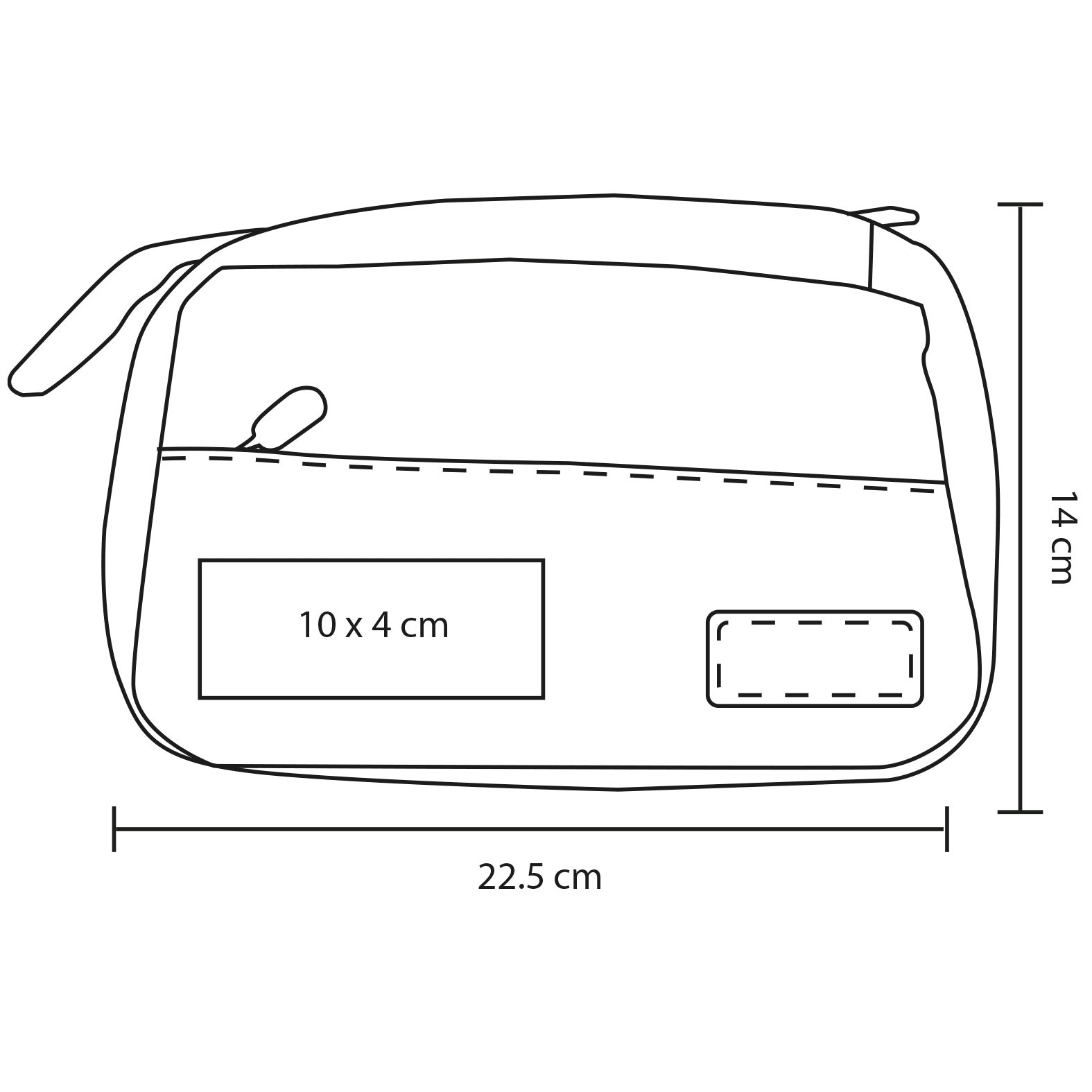 vector