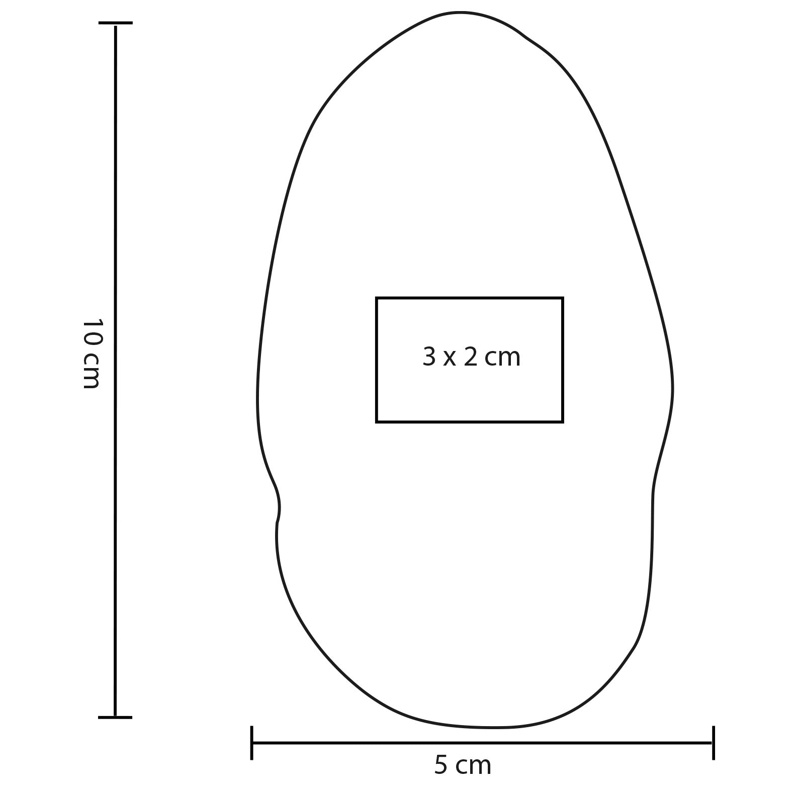 vector