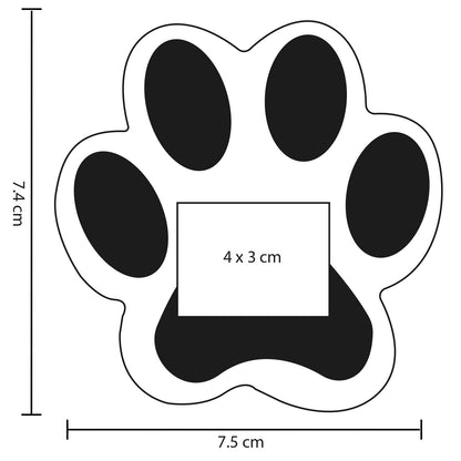 vector