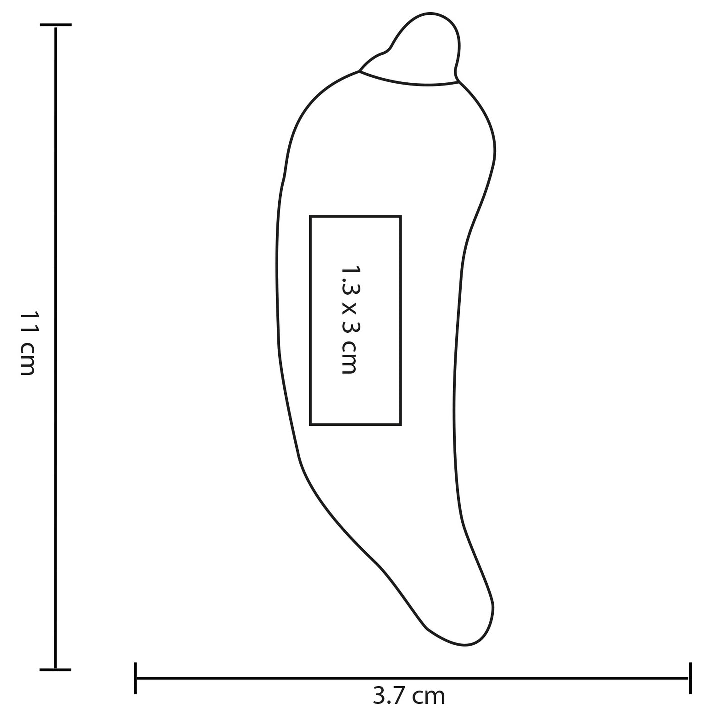 vector