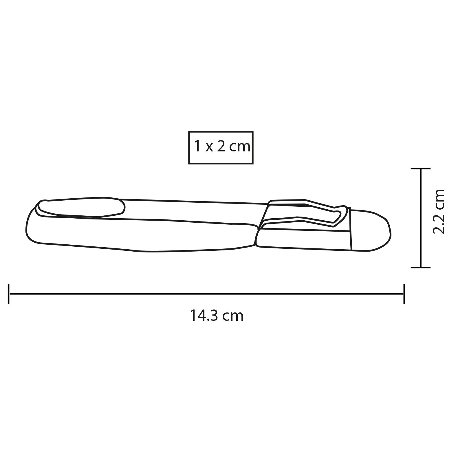 vector