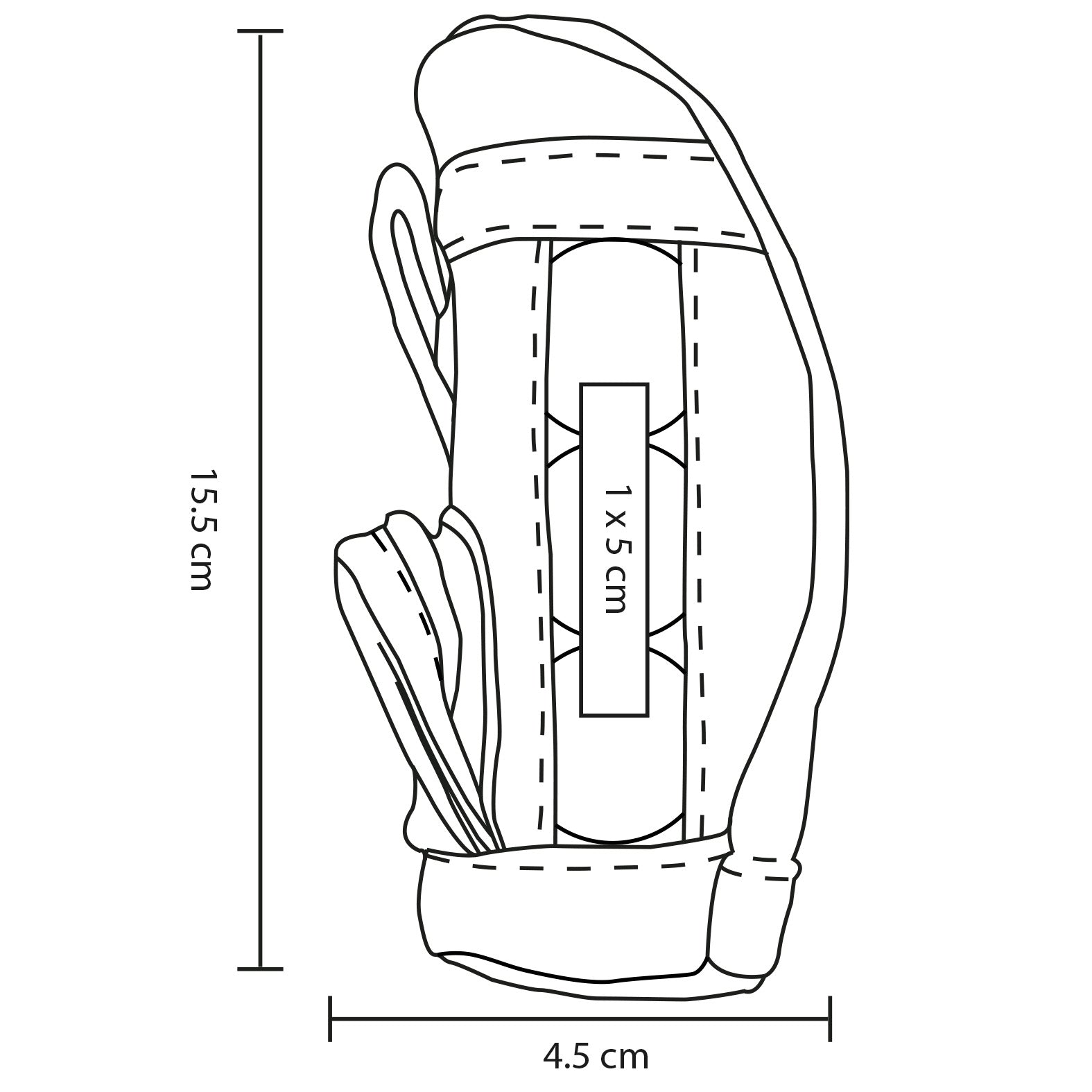 vector