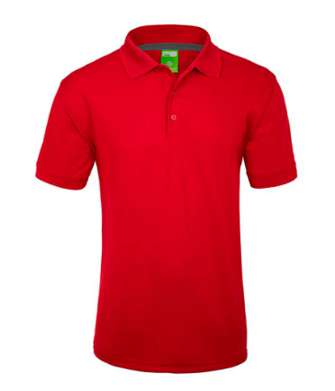 POLO 900C PLAYERYTEES
